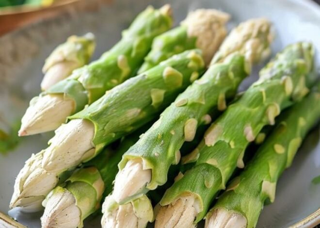 Spargelzeit Germany: Inside the Cultural Obsession with White Asparagus Season