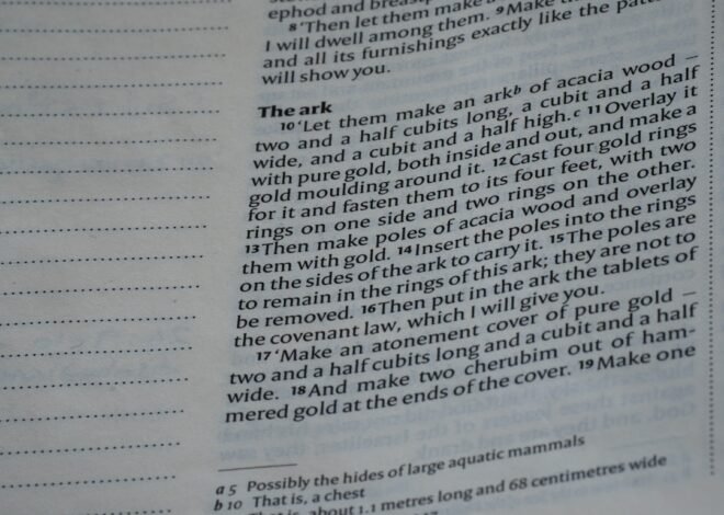 The Magic of German Modal Verbs: Unlocking Their Power