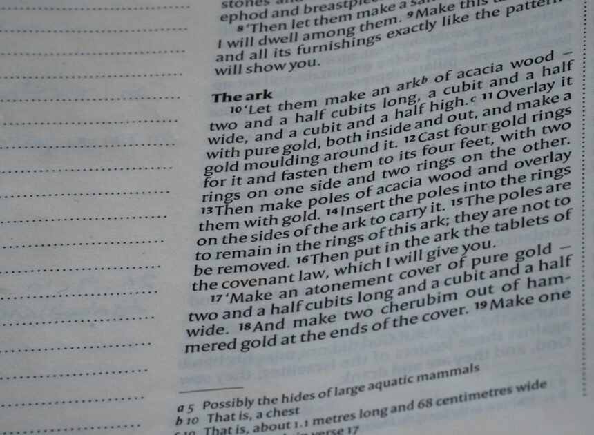 The Magic of German Modal Verbs: Unlocking Their Power