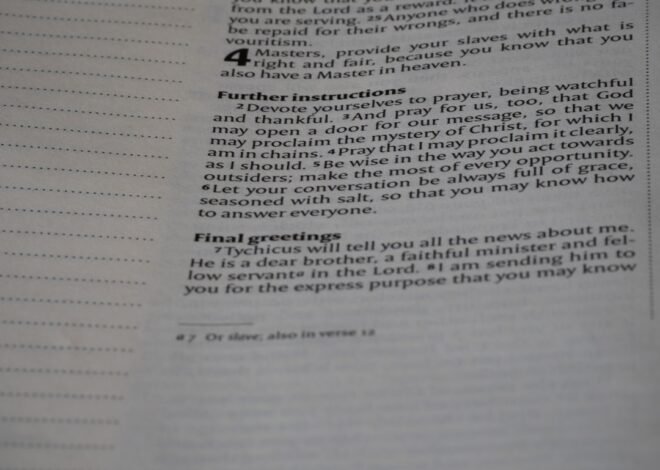 Mastering the German Perfect Tense: How to Use ‘Haben’ and ‘Sein’