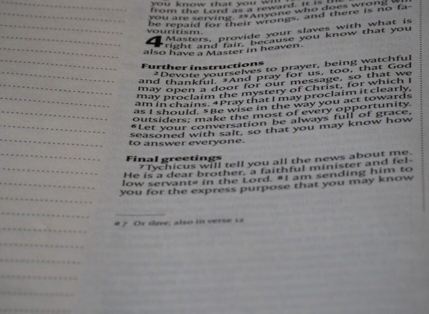 Mastering the German Perfect Tense: How to Use ‘Haben’ and ‘Sein’