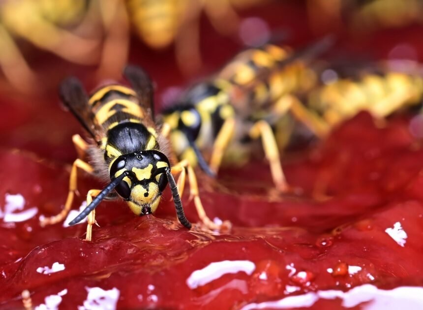 The Impact of German Grammar on Writing Skills